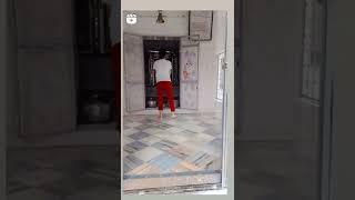 royal jatni Guddu Choudhary #shorts #ytshorts