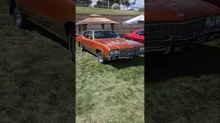 Classic Muscle: 1972 Buick Skylark Shines at the Car Show!