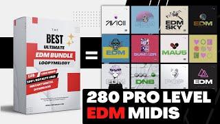 LoopyMelody - Ultimate EDM Bundle