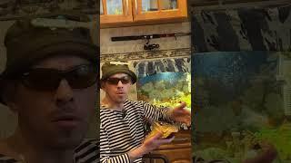 Рыбацкие байки. #fishing #лайфхаки #блогер #смех #юмор #carpfishing #прикол #животные #рыбалка