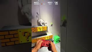 kitten games #silly cat #super mario #shoveling fun #games #american short tabby cat