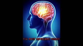 The Most Important Organ | Edit #shorts
