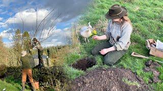 Saying Goodbye - Fruit Trees & Roses get the Chop! Country House Renovation (Life in Scotland)