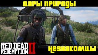 Прохождение RDR 2 на 100% - Незнакомцы - Миссия 20: Дары природы [Часть 1] (Глава 2)