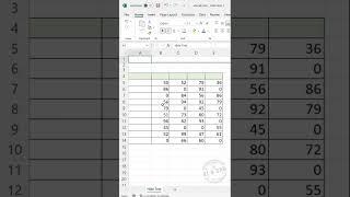 Excel Trick to Hide Text