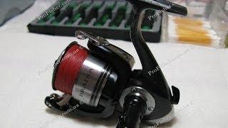 Daiwa Bradia 2500R