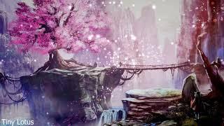 1 HOUR of the Best Relaxing Meditation Music  Calm Piano Music for Sleep   Zen Healing Sounds 5