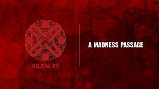 Neural FX - A Madness Passage (Lyric video)