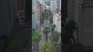 Medellin and Bogota Expat Enclaves!