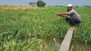 FISHING"TINY HOOKS,BIG Catches:Rebelled Fishes and Tilapiafish catching" Rupchand fishing in Village