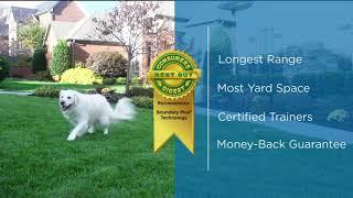 Custom Pet Solutions | Invisible Fence