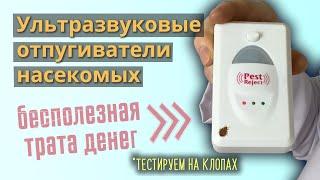 Ультразвук от клопов — тест Pest Reject