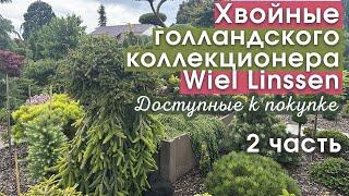 Коллекция частного сада W.Linssena в Голландии 2 Растения доступные к покупке