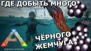 ГДЕ ДОБЫТЬ ЧЁРНЫЙ ЖЕМЧУГ В ARK SURVIVAL EVOLVED MOBILE! ВСЕ СПОСОБЫ ДОБЫЧИ ЧЁРНОГО ЖЕМЧУГА В ARK