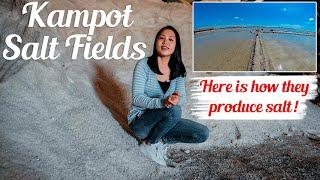 Kampot Salt Fields I Attraction in Kampot Province