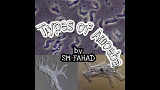 Types of Amoeba!  || SM FAHAD