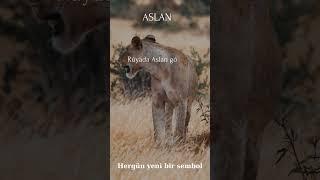 Rüyada Aslan Görmek.  #islam #allah #rüya #rüyatabirleri #kuran #mesajınızvar