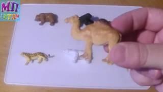 Сюрпризы в Play Doh