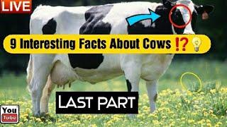 9 Things You Didn't Know About Cows [Final Part ]