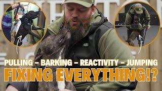 How To FIX Reactivity & Pulling & Jumping & Barking With Your Dog!