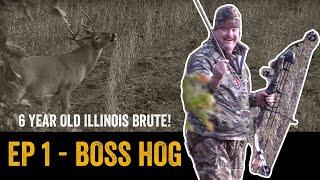 ILLINOIS BRUTE WHITETAIL BUCK w/ BOW | "Boss Hog" | ADVANTAGE WHITETAIL | Episode 1