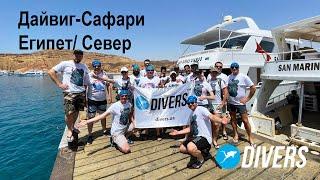 Дайвинг-Сафари по Северу красного моря/Египет/06-13.05.2021/DIVERS.UA