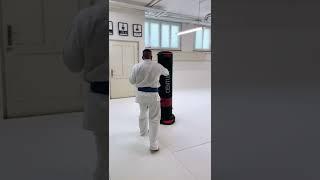 kyokushin karate training session #kyokushinway #shorts