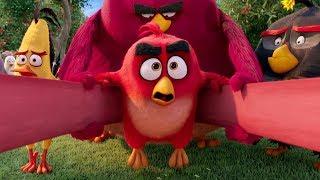 Это будет больно! - "Angry Birds" отрывок из фильма