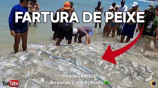 Fartura de Bonito e Xerelete na Pesca Artesanal de Arraial do Cabo - Tradição Centenária 