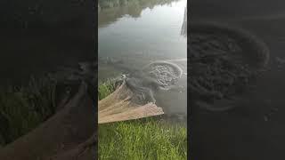 fishing, bass fishing, fly fishing, World fishing championship, with Phann Phuy Fishing#movie