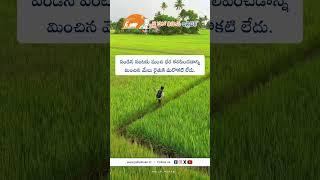 JHK Farmer Quote | Motivational quotes Telugu II Inspirational Quotes II Telugu Quote @JaiHoKisan