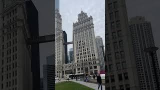 Chicago Tribune #chicago #illinois #usa #chicagodowntown #travel #solo