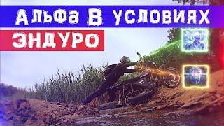 Альфа в условиях ЭНДУРО