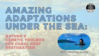 Amazing Adaptations Under The Sea with Kristina Black | Science Under the Stars