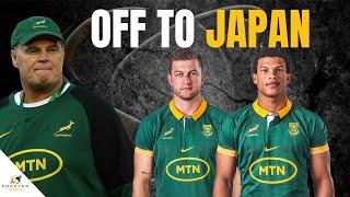 SPRINGBOK DUO SET FOR JAPAN MOVES! | Rugby Transfer News