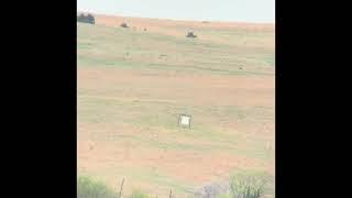 3091 yards with 300nm 245 Berger and Barrett MRAD
