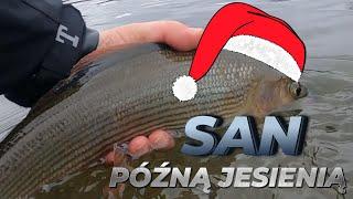 Późno jesienny San//sucha mucha//mikro nimfy//fly fishing #traper