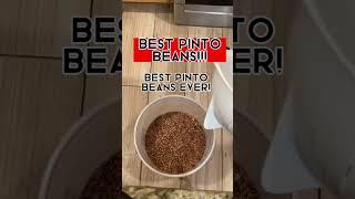 How to make the best pinto beans! (Fast, Easy, No Soaking!)