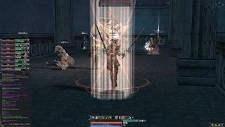 Lineage 2 - Saints Necropolis AOE Farm - Elmorelab Teon x1 C4