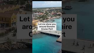  Bonaire Cruise Port: What You NEED to Know Before You Go!  #cruisetips