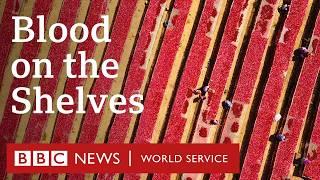 Blood on the Shelves: The Secrets of Xinjiang’s Tomato Industry - BBC World Service Documentaries