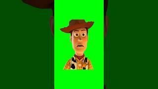 Green Screen "So this is it? After all we've been through" Meme | Toy Story 3 Woody Meme