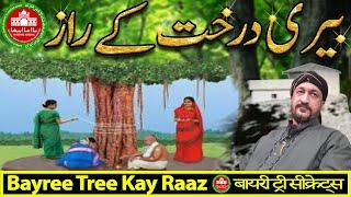 Bayree Tree Kay Raaz #abdullahshahghazi @ShahzadAliGhazibhaijan #top #tips #totka #wazifa #dua #desi