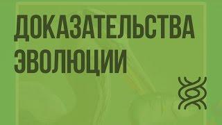 Доказательства эволюции. Видеоурок по биологии 11 класс