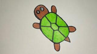 how to draw a cute tortoise