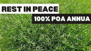 Good Bye Poa Annua