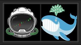 Day Trading Tools & Tips: How to Use Unusual Whales