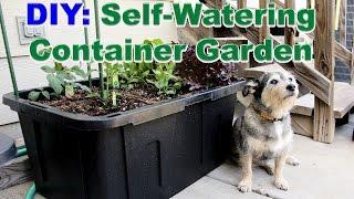 DIY: Self-Watering Container Garden