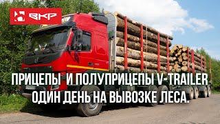 Один день на вывозке леса. Прицепы V-Trailer на работе в Вологодской области.