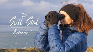 Gull Girl - Episode 1 - An Introduction to Research